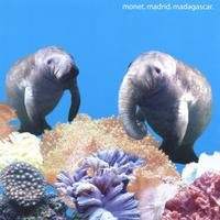 Monet. Madrid. Madagascar./If Manatees Had Trunks